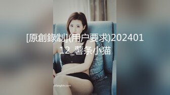 [原創錄制](用户要求)20240112_薯条小猫