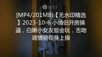 [MP4/201MB]【无水印精选】2023-10-6 小情侣开房操逼，白嫩小女友挺会玩，舌吻调情骑在身上操