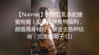 【Naimei】天然巨乳水蛇腰蜜桃臀！反差女神推特福利，颜值高身材好，被金主各种玩肏，完美炮架子 (1)