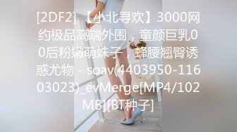 [2DF2] 【小北寻欢】3000网约极品高端外围，童颜巨乳00后粉嫩萌妹子，蜂腰翘臀诱惑尤物 - soav(4403950-11603023)_evMerge[MP4/102MB][BT种子]