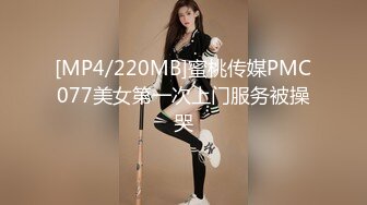 我专属的女仆