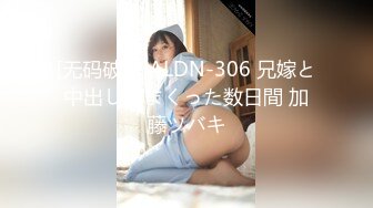 [无码破解]ALDN-306 兄嫁と中出ししまくった数日間 加藤ツバキ