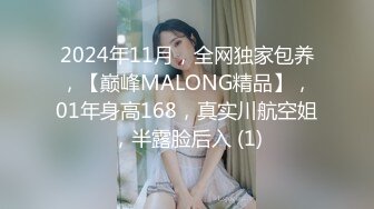 2024年11月，全网独家包养，【巅峰MALONG精品】，01年身高168，真实川航空姐，半露脸后入 (1)