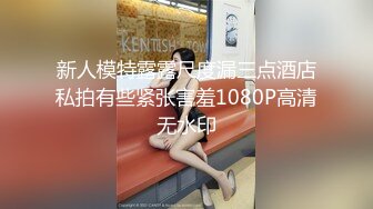 【太子妃】超高颜值车模女神，高门槛福利，户外露出，调教，商场公园景区，屌炸天！ (2)