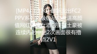 探花李寻欢下海拍黄片系列 500块一天租个美女假冒女友回家过年惹怒我动真格 美酱