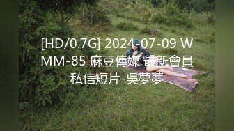 最新网红美少女押尾猫2019首部长篇啪啪作品之蕾姆圣诞1