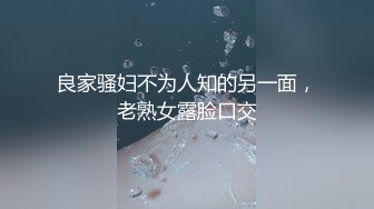 ★☆稀缺资源☆★推特30万粉母狗【Ella小骚狐】野外露出 调教 多P付费订阅 (12)