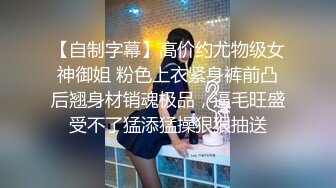 山东邹平西董酒瓶子系列