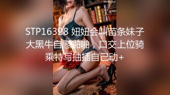 [MP4]麻豆传媒最新MSD-032少女恶梦父债肉偿的灰姑娘新人出道空灵女神-陶白白