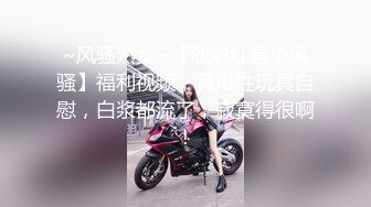 性感的灰丝吊带袜