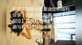 私密电报群土豪重金定制福利分享，巨乳网红脸美人儿【小甜豆】露脸私拍，户外露出紫薇与有声娃娃互搞第一人，太会玩了 (3)