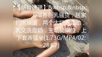 MD-0216反差淫女初登场-楚梦舒