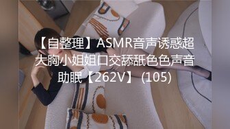 【自整理】ASMR音声诱惑超大胸小姐姐口交舔舐色色声音助眠【262V】 (105)