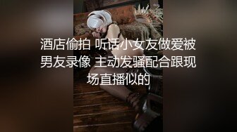 精东影业JD153性游记EP02横滨篇