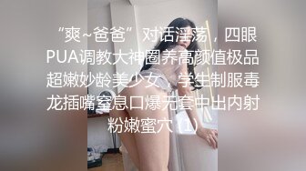 【AI换脸视频】沈梦辰 勾引姐夫激情性爱