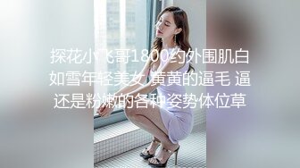 严选.欧美SM带剧情各大片商收集高清合集.下【27V】 (4)