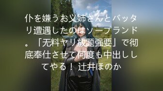 仆を嫌うお义姉さんとバッタリ遭遇したのはソープランド。「无料ヤリ放题强要」で彻底奉仕させて何度も中出ししてやる！ 辻井ほのか