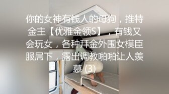 你的女神有钱人的母狗，推特金主【优雅金领S】，有钱又会玩女，各种拜金外围女模臣服屌下，露出调教啪啪让人羡慕 (3)