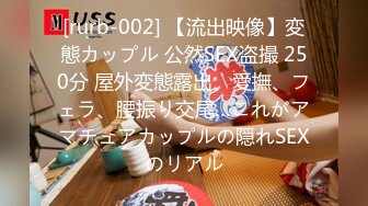 [rurb-002] 【流出映像】変態カップル 公然SEX盗撮 250分 屋外変態露出、愛撫、フェラ、腰振り交尾…これがアマチュアカップルの隠れSEXのリアル