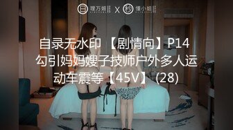 自录无水印 【剧情向】P14 勾引妈妈嫂子技师户外多人运动车震等【45V】 (28)