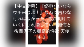 冤罪復讐連日痴漢 『痴漢冤罪』で人生を台無しにされた男たちが痴漢をでっち上げた女に毎日毎日集団痴漢で復讐！