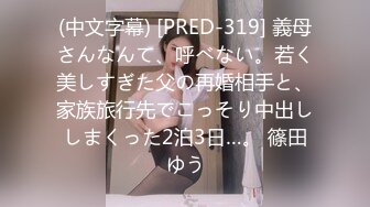 (中文字幕) [PRED-319] 義母さんなんて、呼べない。若く美しすぎた父の再婚相手と、家族旅行先でこっそり中出ししまくった2泊3日…。 篠田ゆう