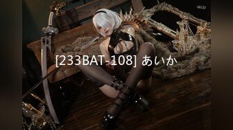 [233BAT-108] あいか